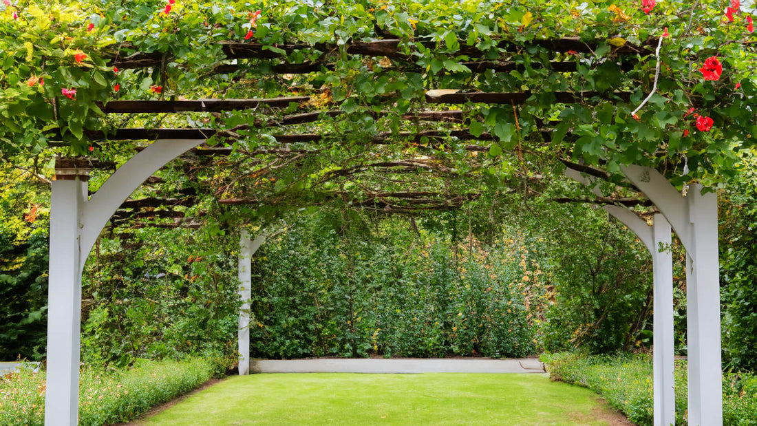 Gardenarch.co.uk, Garden arch, garden arches, metal garden arch, wooden garden arch, arches, wooden garden arches, garden archway, garden arches metal, garden arches wooden, wooden arch, rose arch, garden arch trellis, arching trellis, archway wood