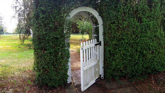 How High Should a Garden Arch Be? Finding the Perfect Height for Your Garden Gateway