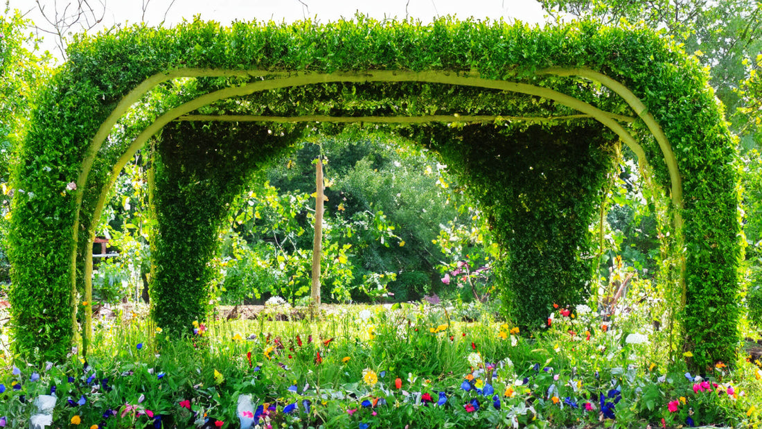 Gardenarch.co.uk, Garden arch, garden arches, metal garden arch, wooden garden arch, arches, wooden garden arches, garden archway, garden arches metal, garden arches wooden, wooden arch, rose arch, garden arch trellis, arching trellis, archway wood