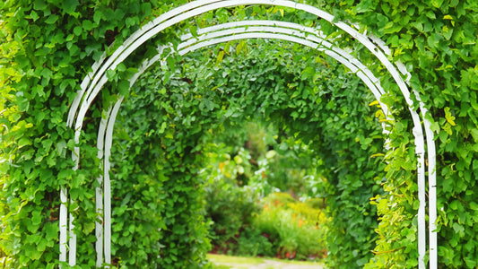 Gardenarch.co.uk, Garden arch, garden arches, metal garden arch, wooden garden arch, arches, wooden garden arches, garden archway, garden arches metal, garden arches wooden, wooden arch, rose arch, garden arch trellis, arching trellis, archway wood