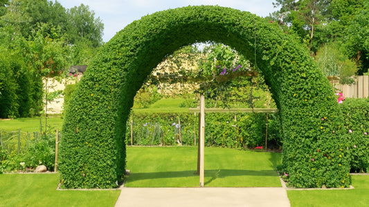 Gardenarch.co.uk, Garden arch, garden arches, metal garden arch, wooden garden arch, arches, wooden garden arches, garden archway, garden arches metal, garden arches wooden, wooden arch, rose arch, garden arch trellis, arching trellis, archway wood