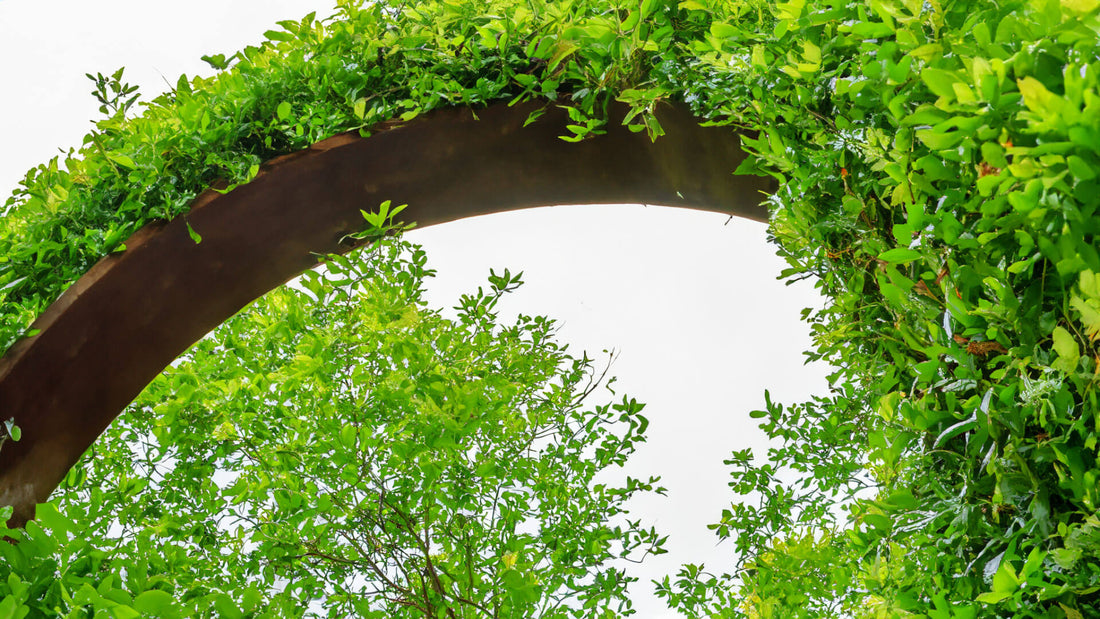 Can You Buy Just the Top of a Garden Arch?