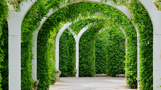 Gardenarch.co.uk, Garden arch, garden arches, metal garden arch, wooden garden arch, arches, wooden garden arches, garden archway, garden arches metal, garden arches wooden, wooden arch, rose arch, garden arch trellis, arching trellis, archway wood