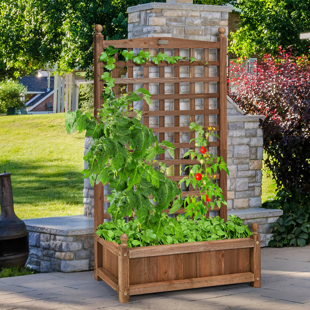 Wooden Lattice Planter Flowerpot with Trellis