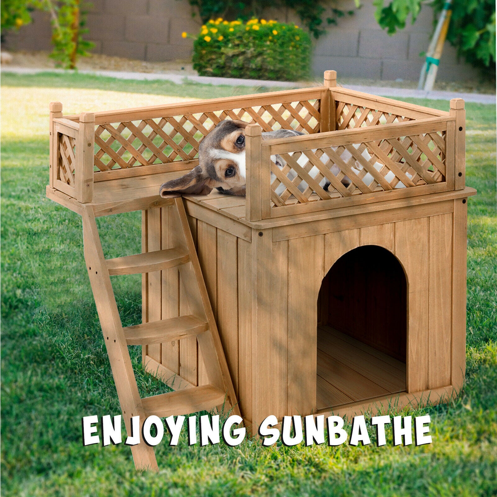 Wooden Dog / Cat House with Raised Roof Balcony & Ladder