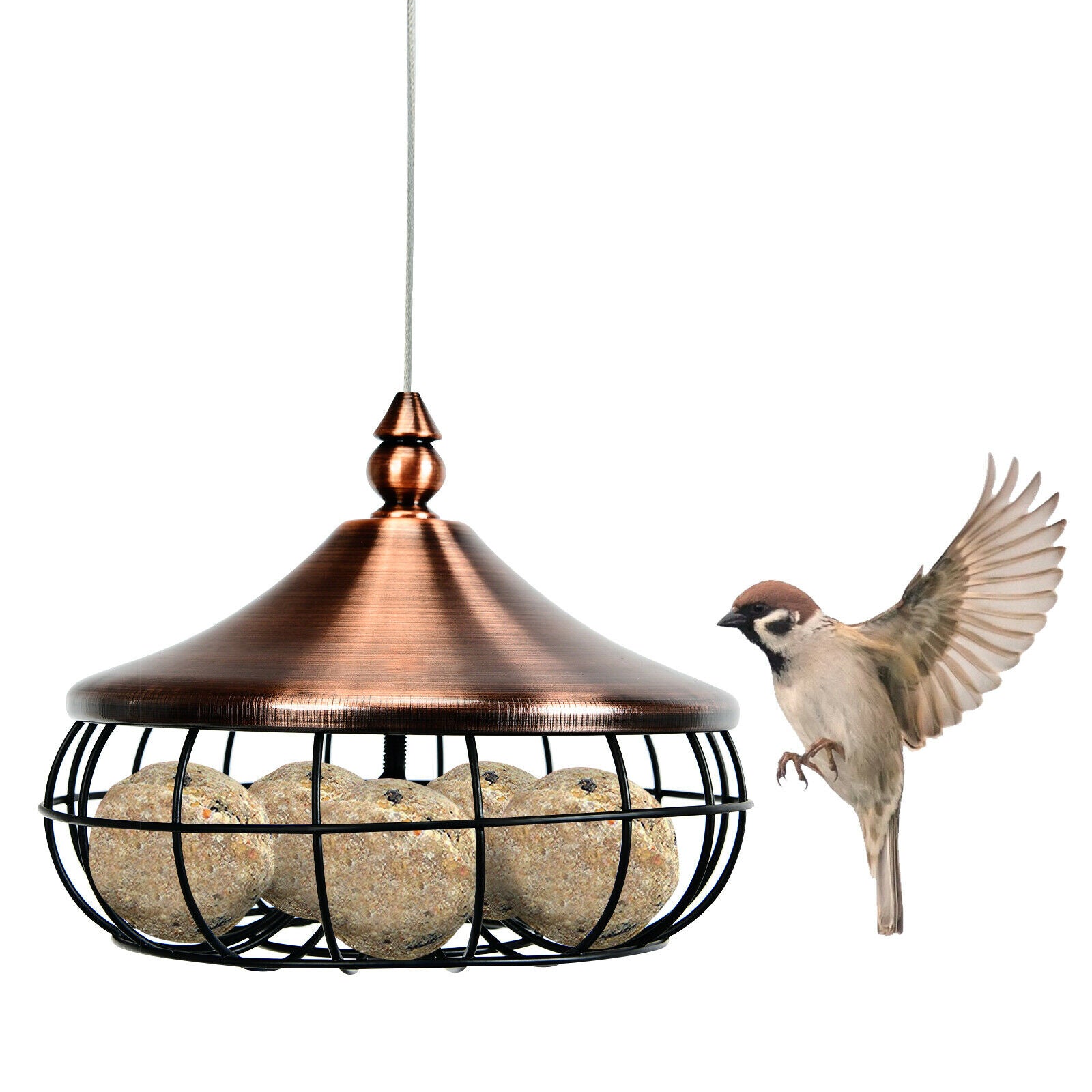 Hanging Suet Fat Ball Feeder for Wild Birds