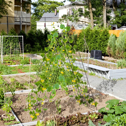 2-Pack Garden Cucumber Trellis with Accessories-Green