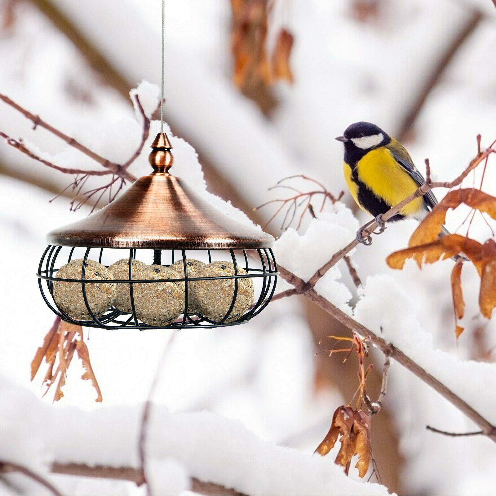 Hanging Suet Fat Ball Feeder for Wild Birds