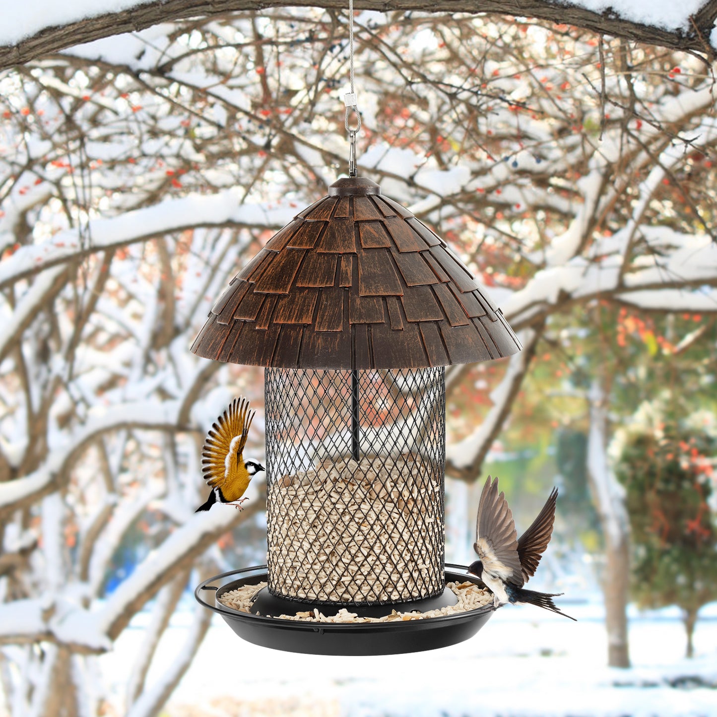 Bird Feeder for Outdoor Hanging with Perch Drain Holes and Hook