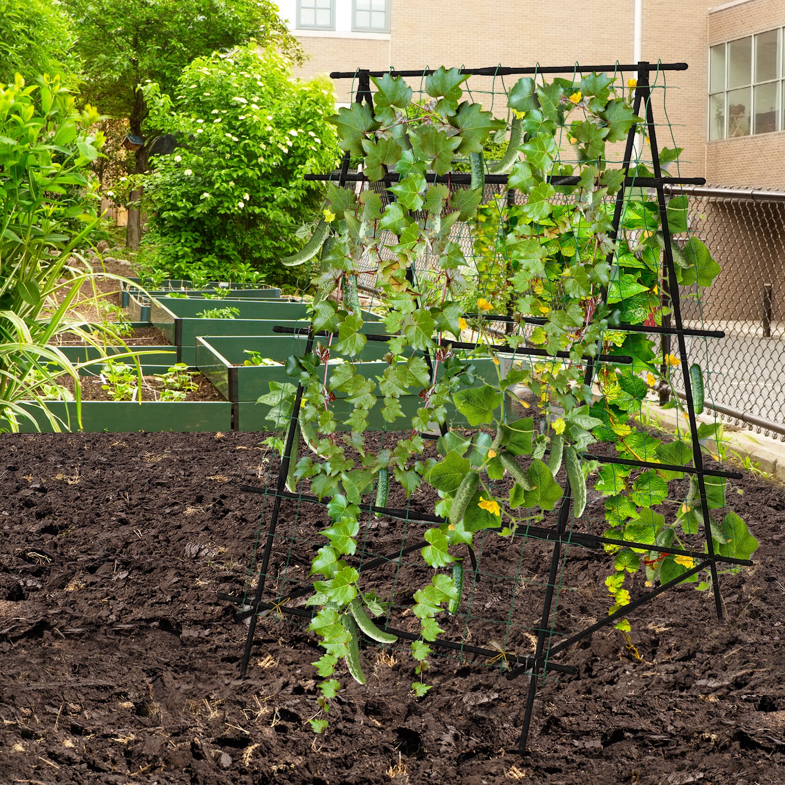 Cucumber Trellis for Climbing Plants Outdoor-Black