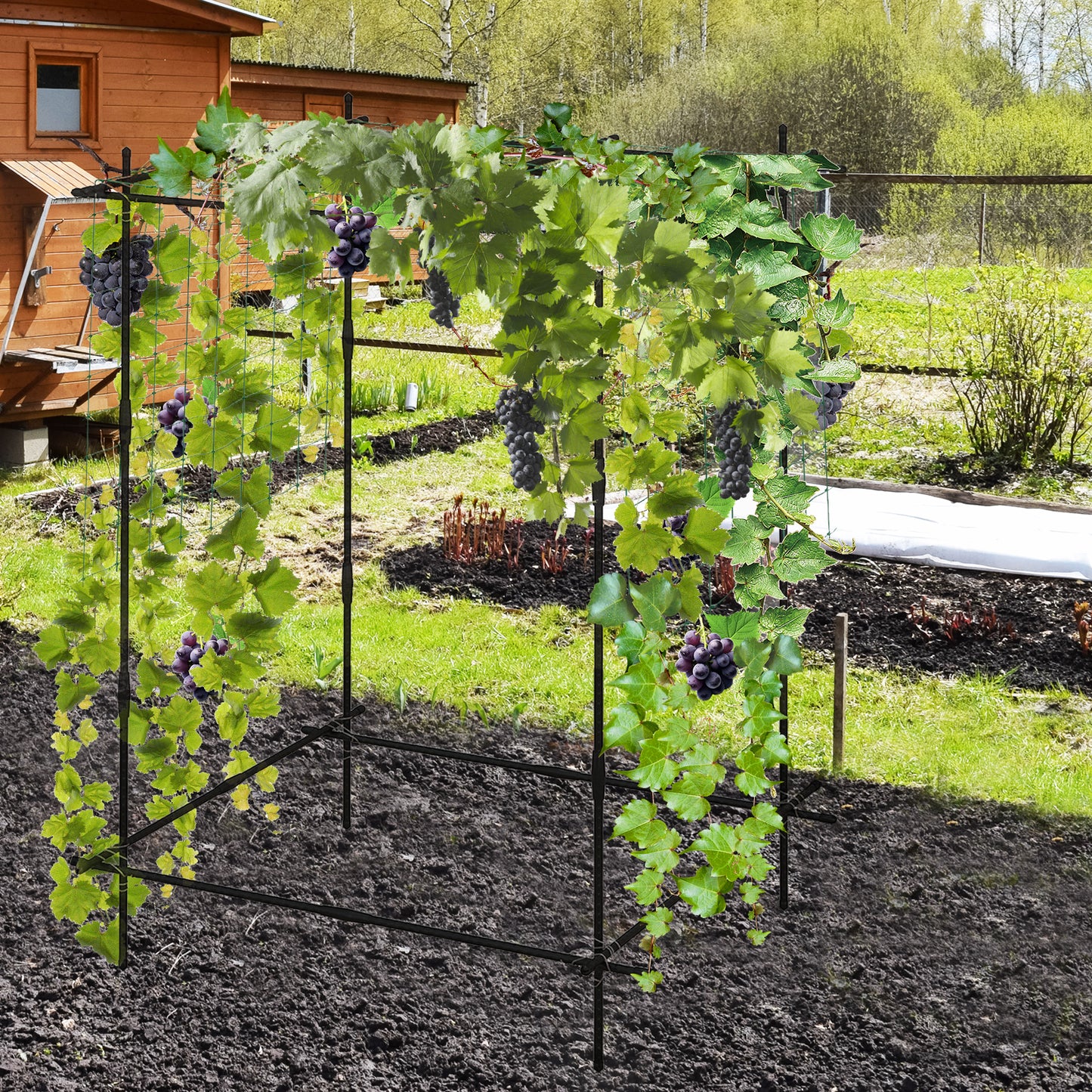 Cucumber Trellis for Climbing Plants Outdoor-Black