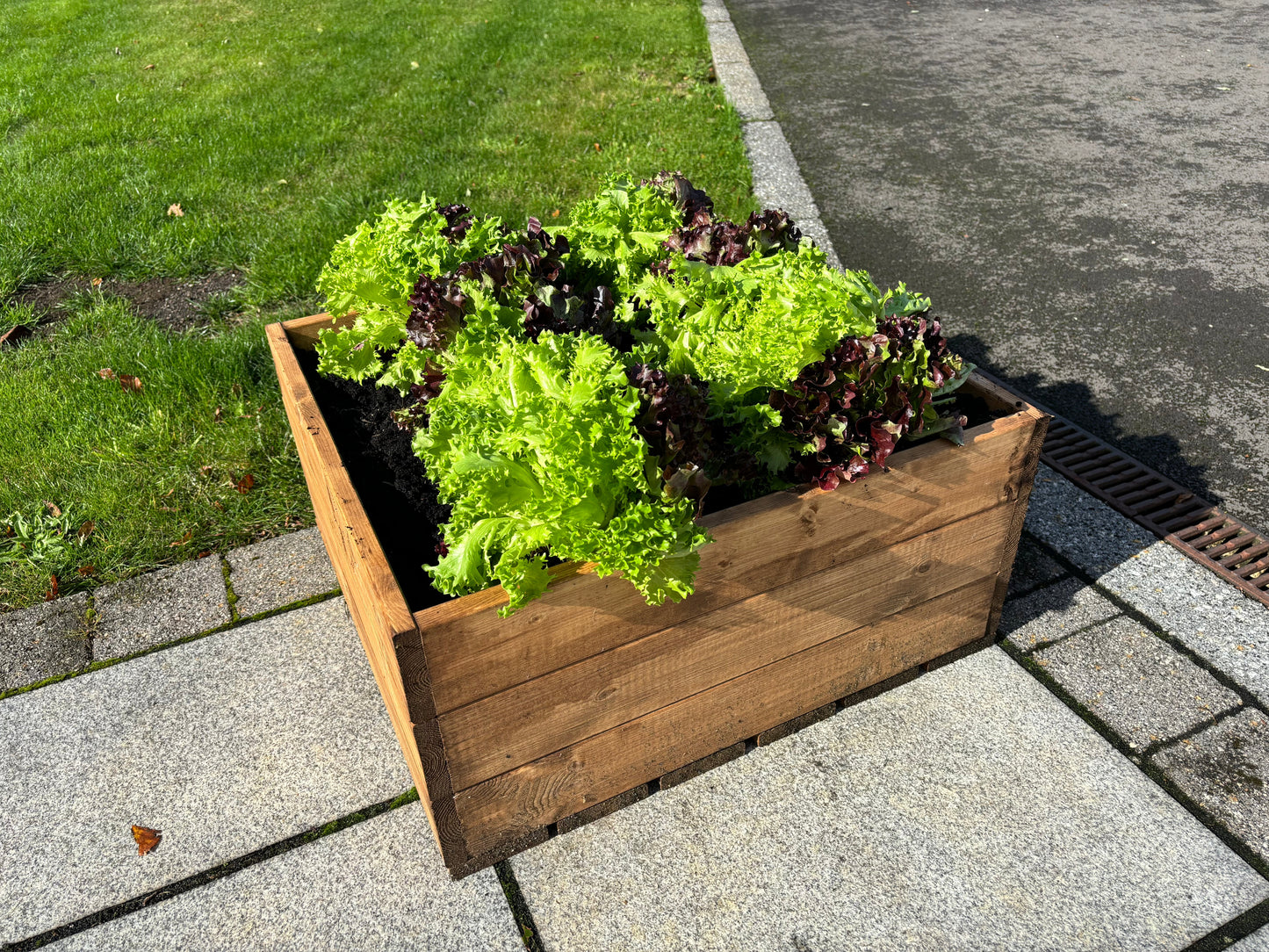 Country Kitchen Large Raised Bed