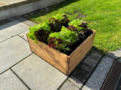 Country Kitchen Large Raised Bed