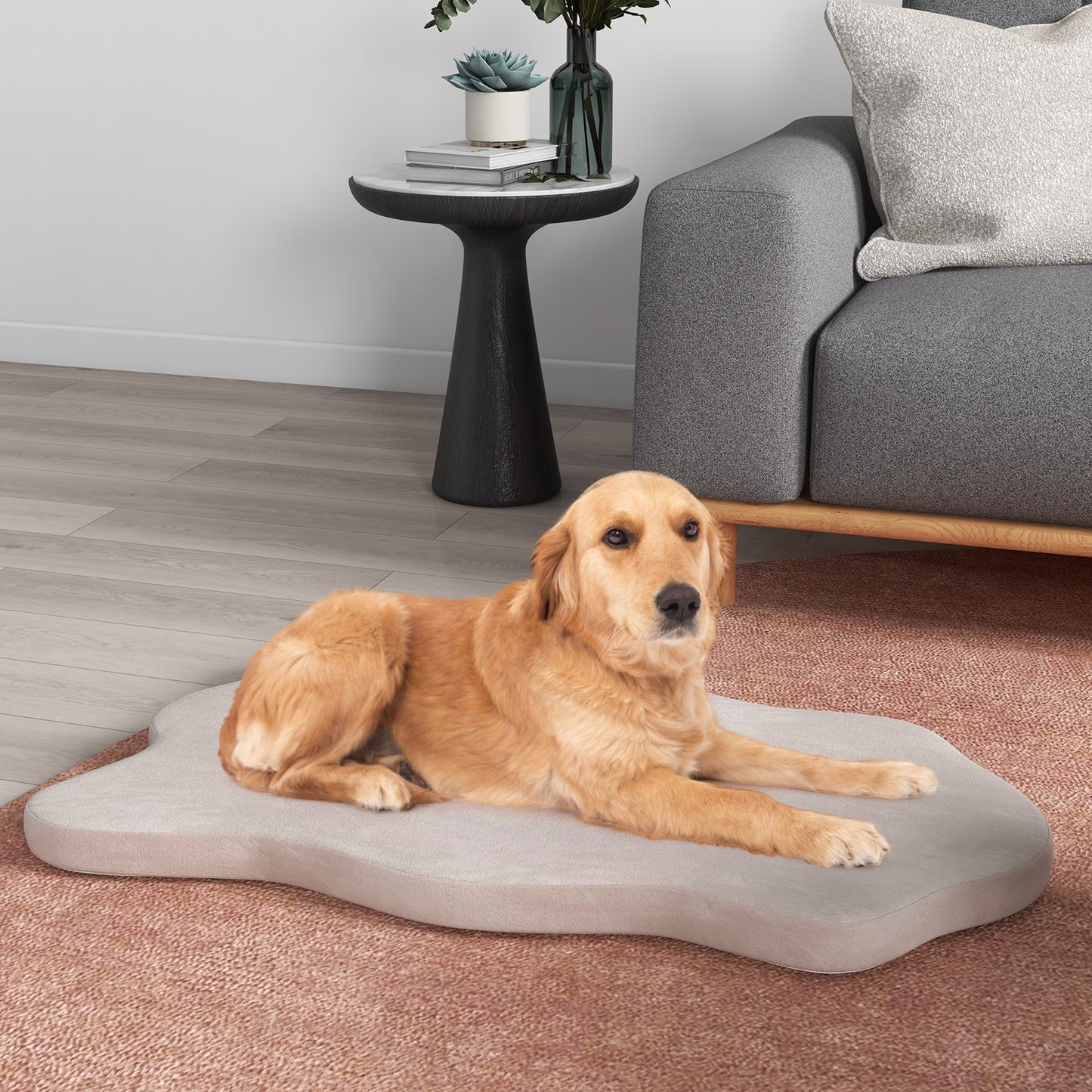 Large Dog Bed with Memory Foam Support and Removable Cover-Beige