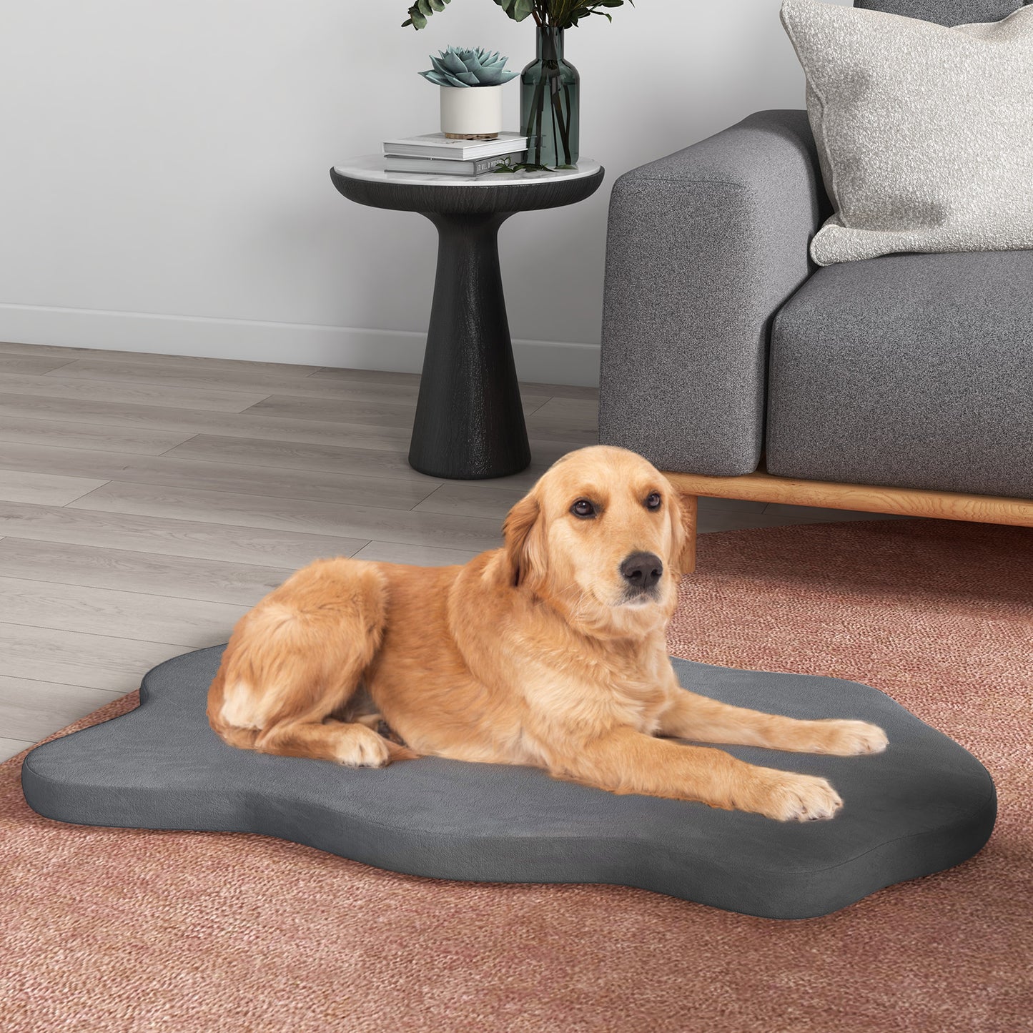 Large Dog Bed with Memory Foam Support and Removable Cover-Grey