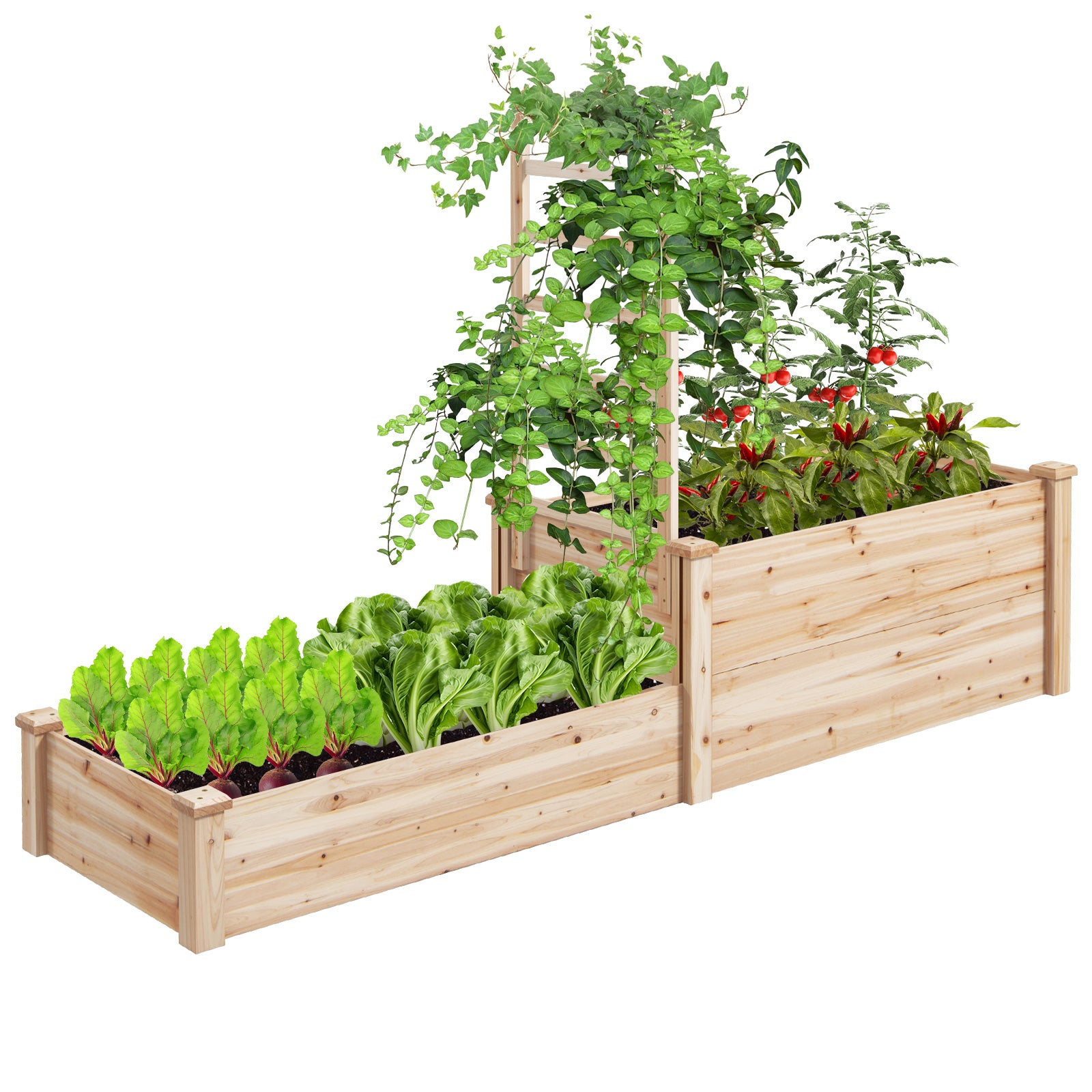 Raised Garden Bed with Trellis and 2 Compartments-Rustic Brown