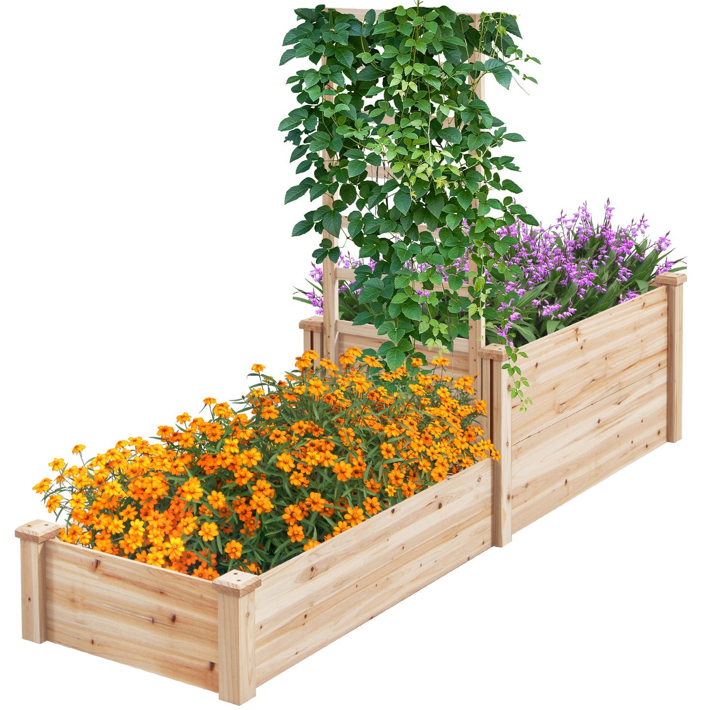 Raised Garden Bed with Trellis and 2 Compartments-Rustic Brown