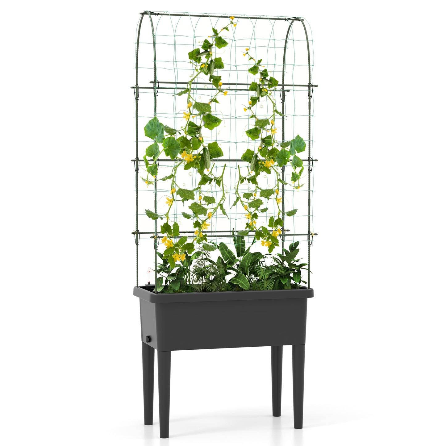 Self-watering Raised Garden Bed with Climbing Trellis-Black