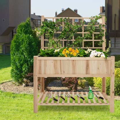 Wooden Raised Garden Bed with Trellis for Climbing Plant