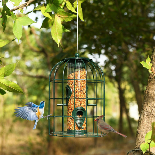 Wild Bird Feeder with Metal Cage and Stainless Steel Wire