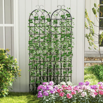 2 Pack 220 x 50 cm Metal Garden Trellis for Climbing Plants-Black