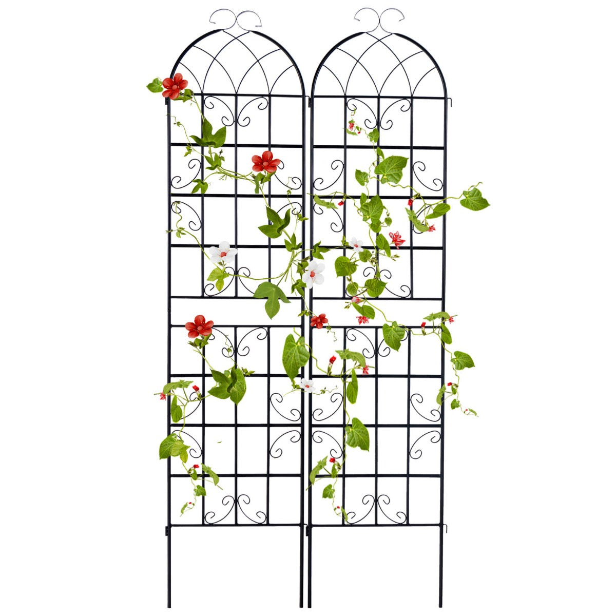 2 Pack 220 x 50 cm Metal Garden Trellis for Climbing Plants-Black