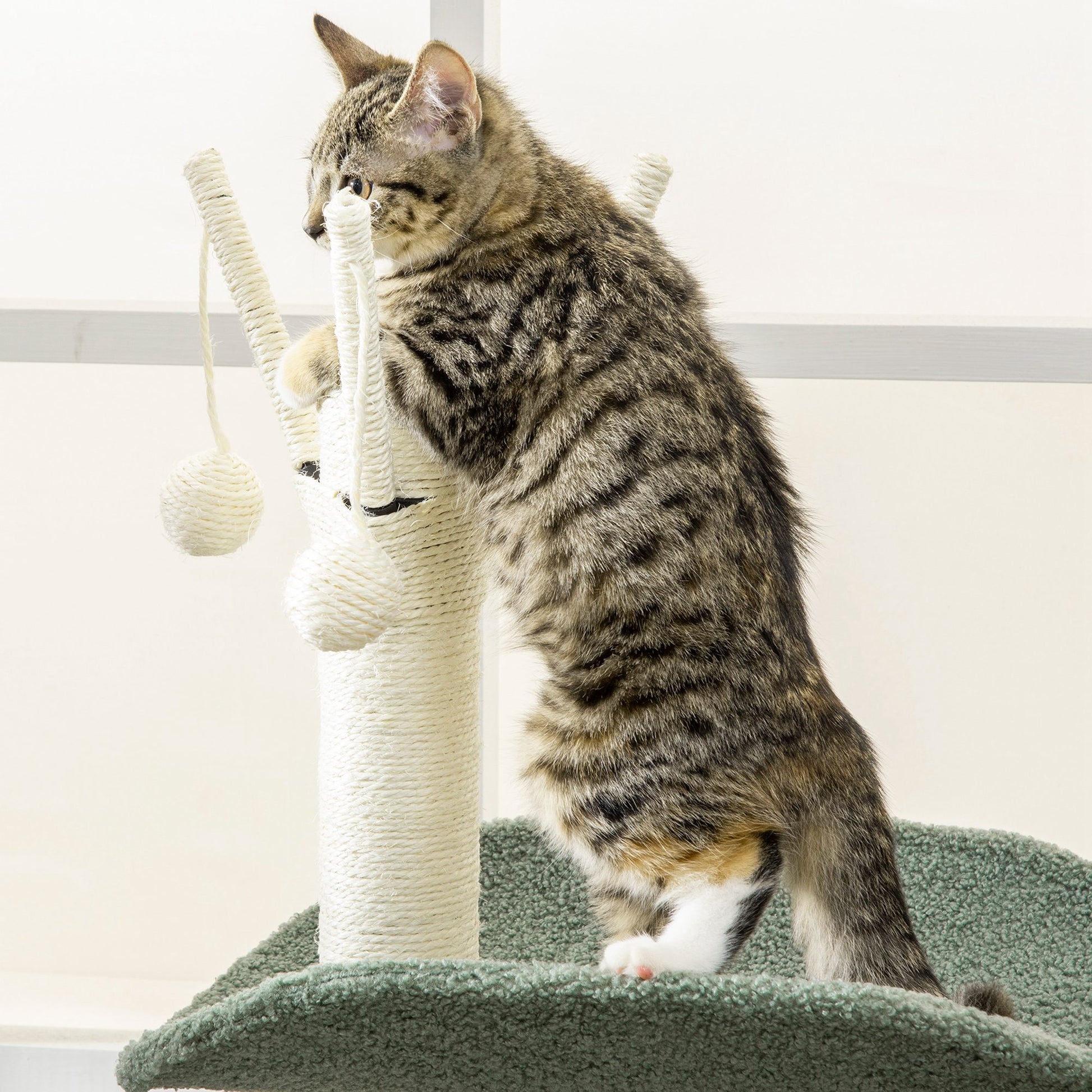 PawHut Cat Tree, Climbing Kitten Cat Tower Activity Center for Indoor Cats with Sisal Scratching Post, Hammock, Kitten Bed, Hanging Ball Toy, Green