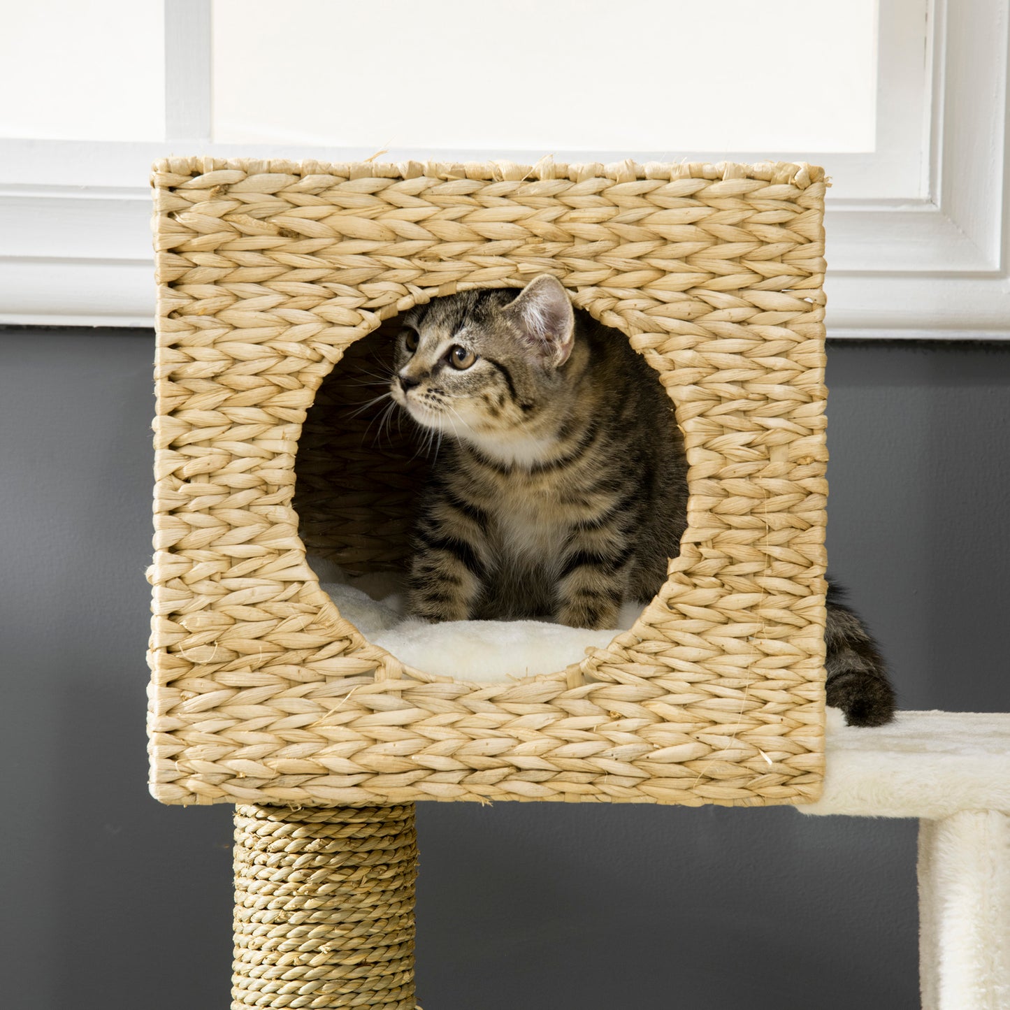 PawHut Cat Tree for Indoor Cats Kitten Tower Cattail Weave with Scratching Posts, Cat House, Bed, Ladder, Washable Cushions, Natural Finish