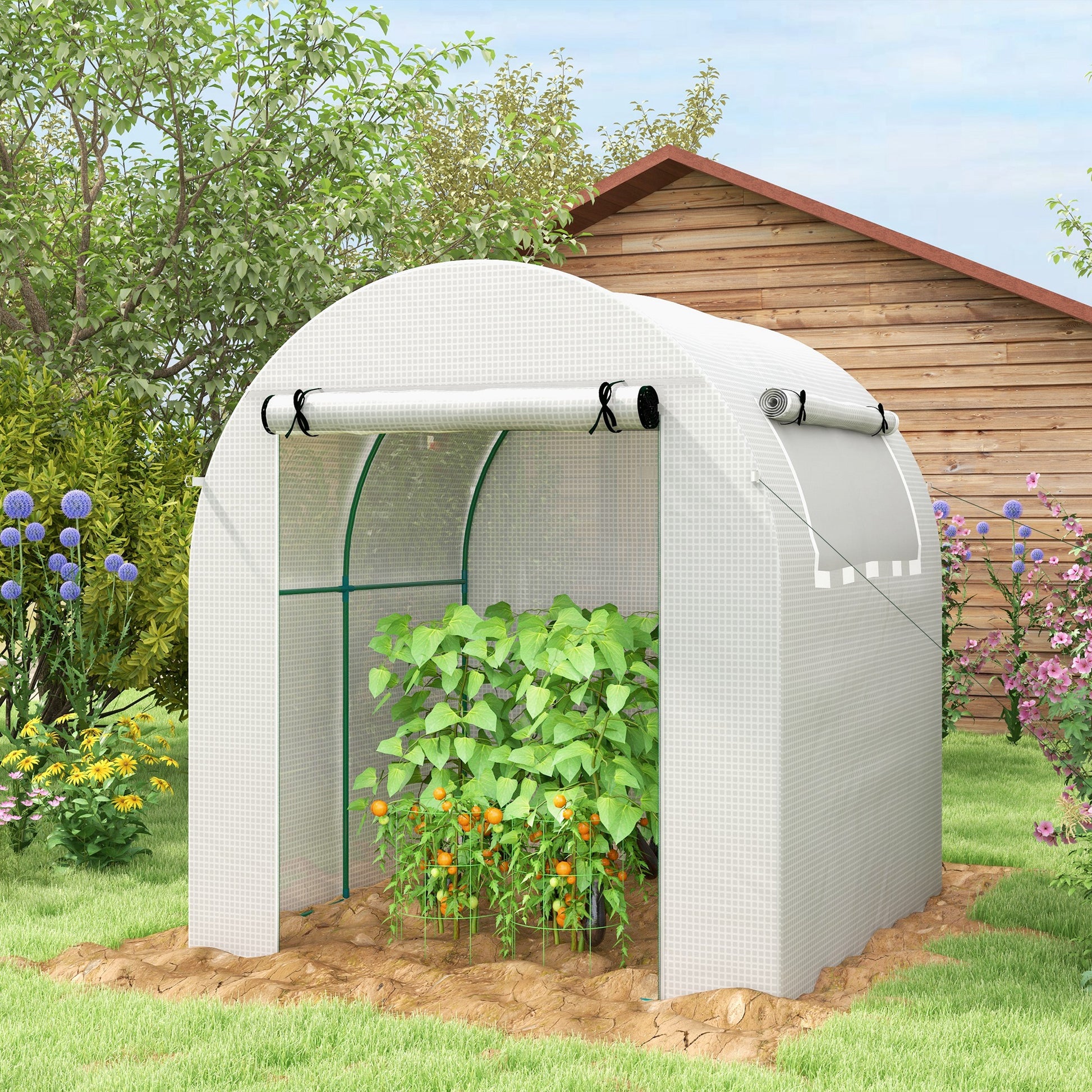 outsunny-walk-in-polytunnel-greenhouse-green-house-for-garden-with-roll-up-window-and-door-1-8-x-1-8-x-2-m-white