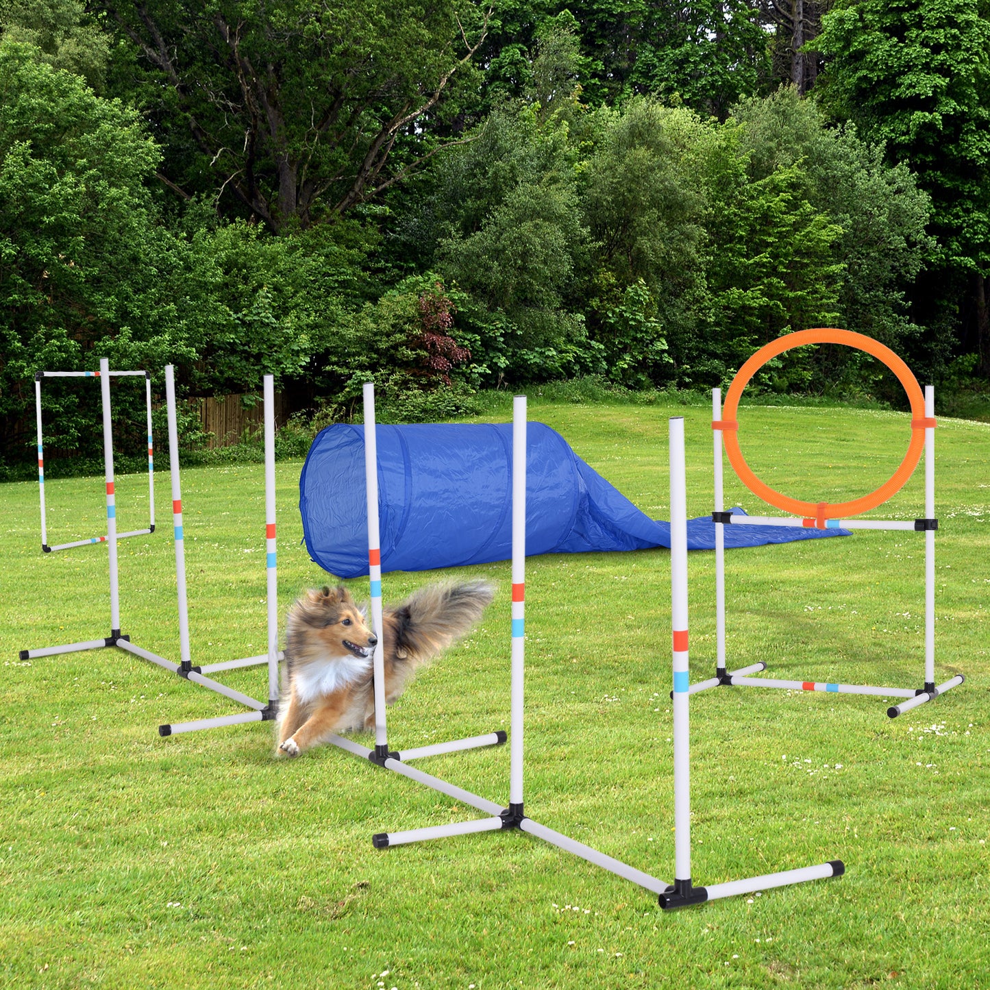 PawHut Dogs PE Set-of-5 Obstacle Agility Training Set White