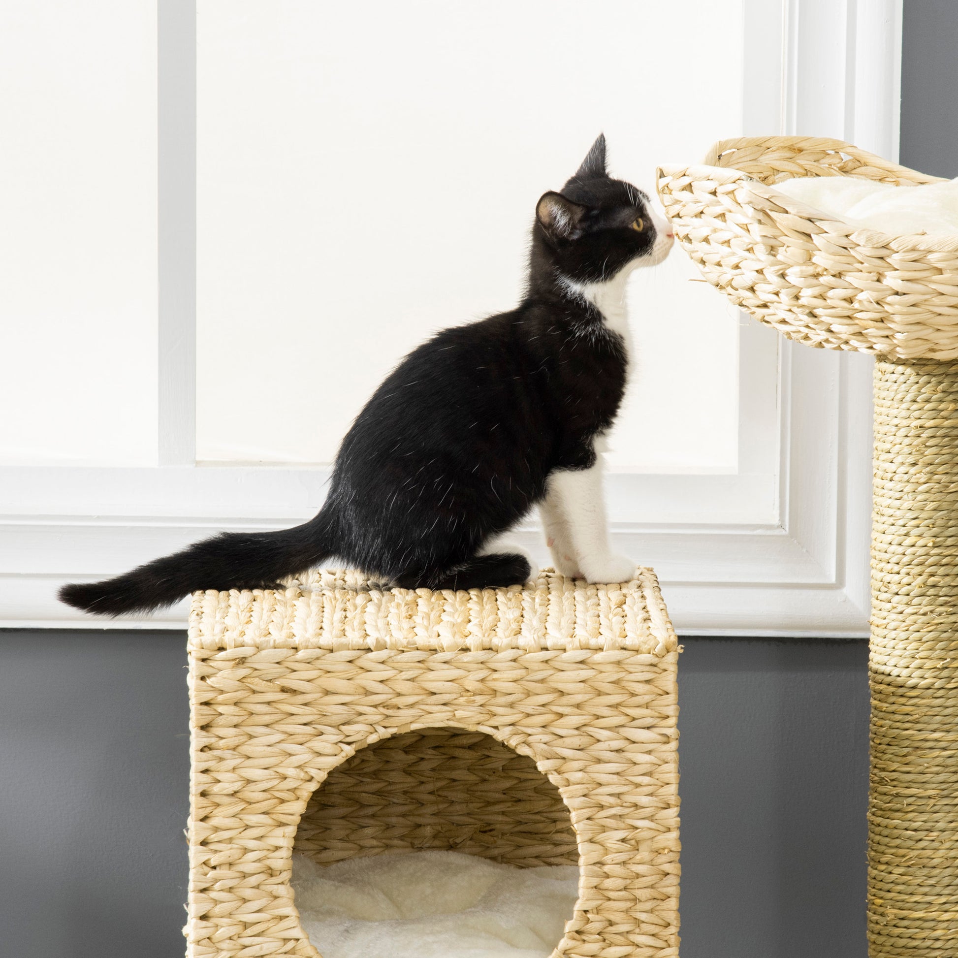 PawHut Cat Tree for Indoor Cats Kitten Tower Cattail Weave with Scratching Posts, Cat House, Bed, Ladder, Washable Cushions, Natural Finish